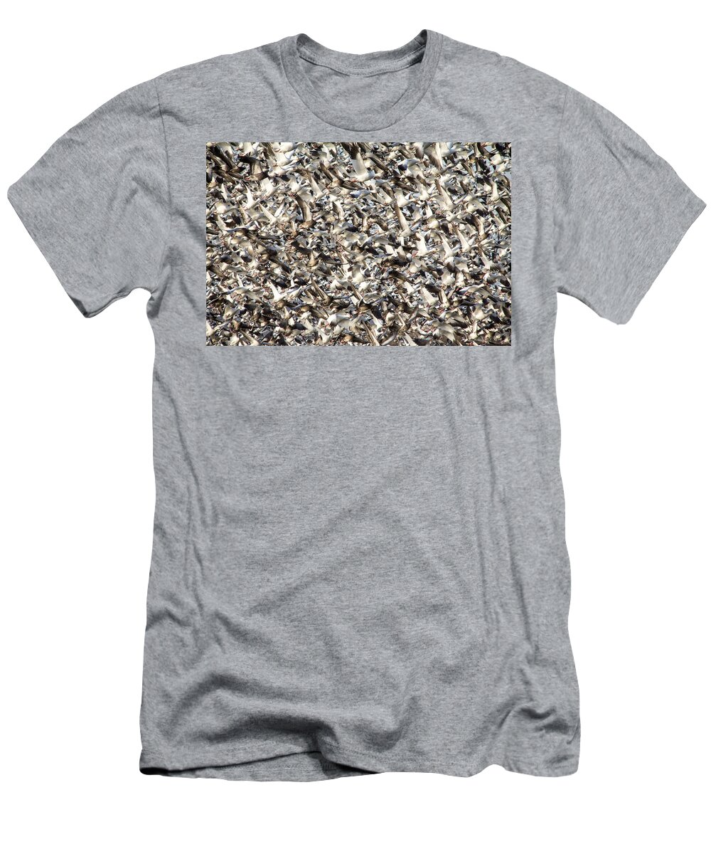 Steven Bateson T-Shirt featuring the photograph Missouri Snow Geese Chaos by Steven Bateson