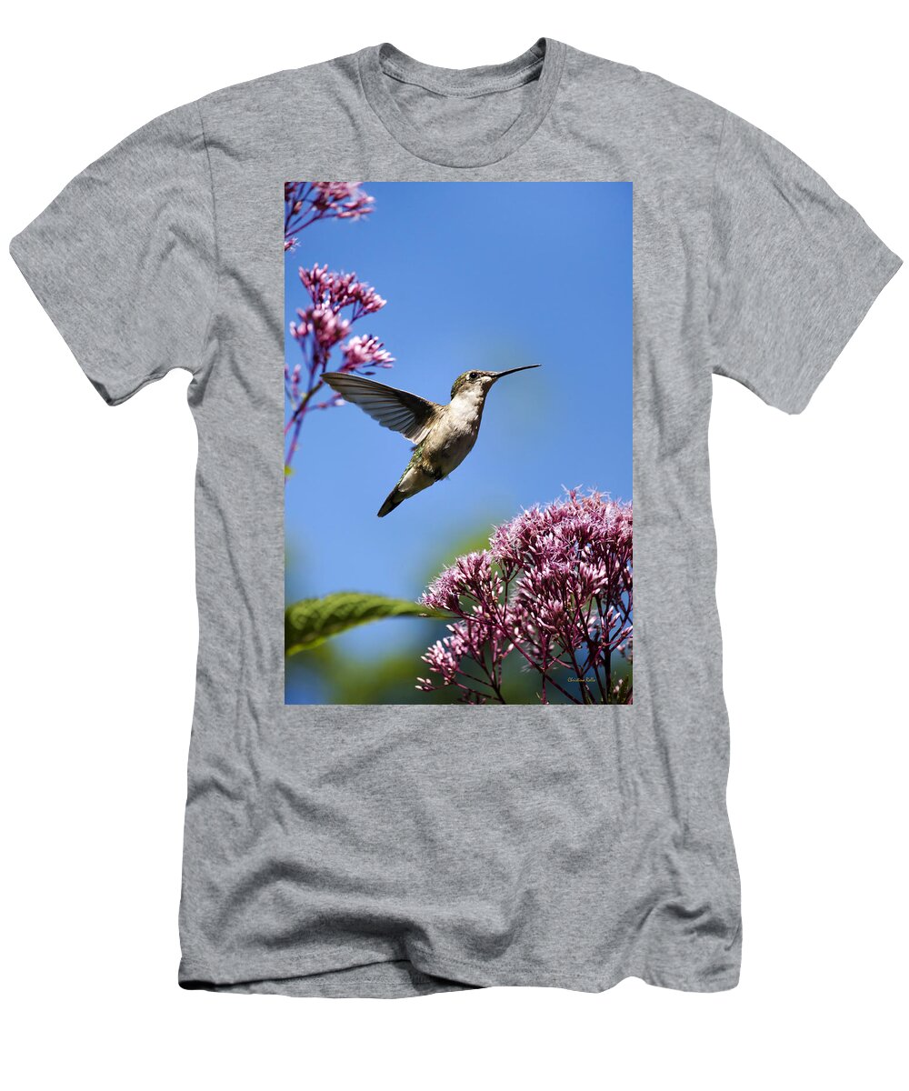 Hummingbird T-Shirt featuring the photograph Modern Beauty by Christina Rollo