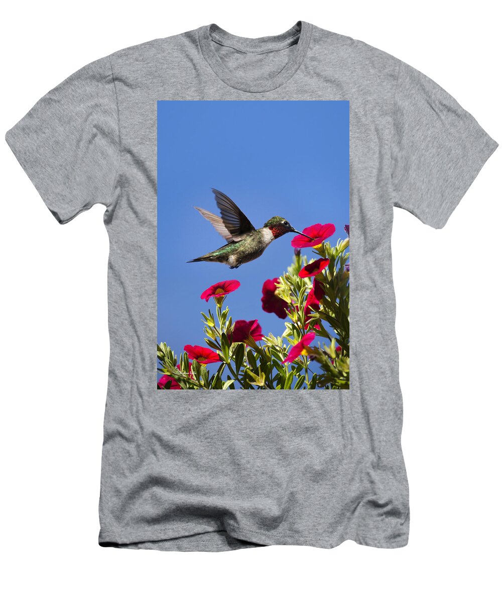 Hummingbird T-Shirt featuring the photograph Moments of Joy by Christina Rollo