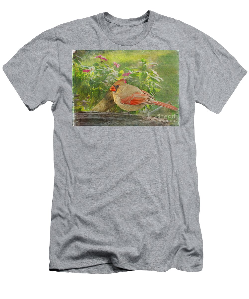 Nature T-Shirt featuring the photograph Morning Cardinal by Debbie Portwood