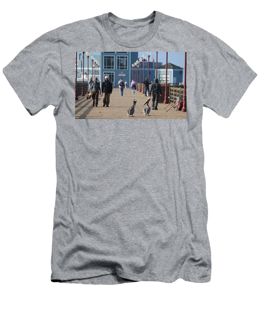 Wild T-Shirt featuring the photograph Morning Stroll by Christy Pooschke