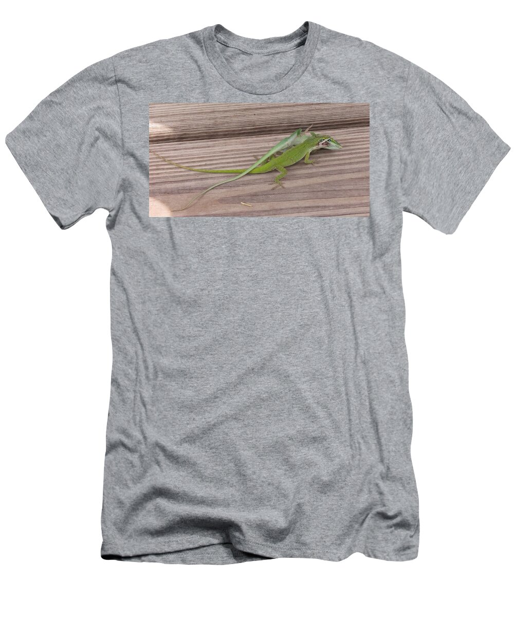 Lizards T-Shirt featuring the photograph Mortal Combat by Fortunate Findings Shirley Dickerson