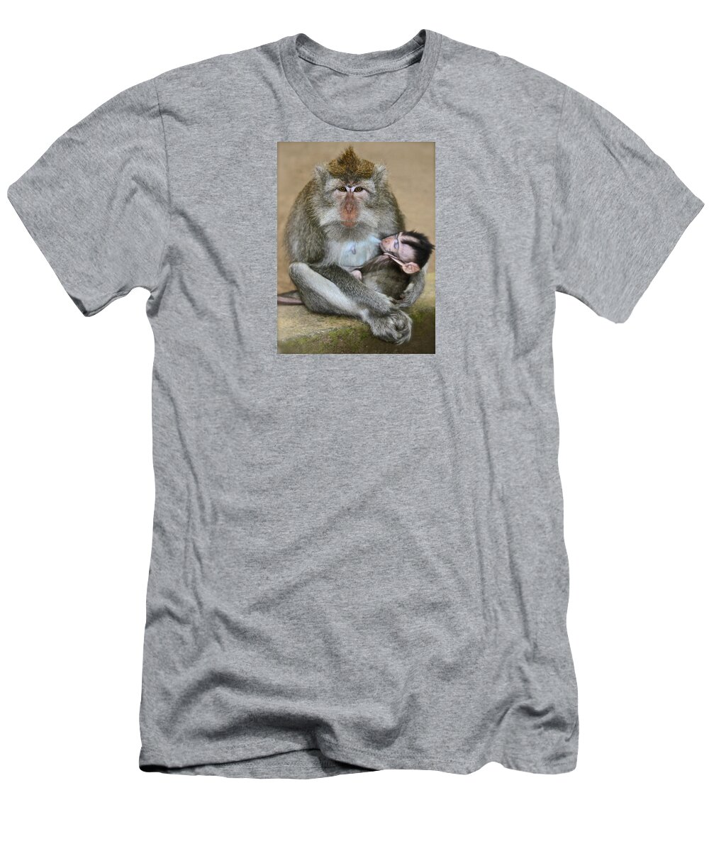 Monkeys T-Shirt featuring the photograph Mother Macaque and her Baby by Venetia Featherstone-Witty