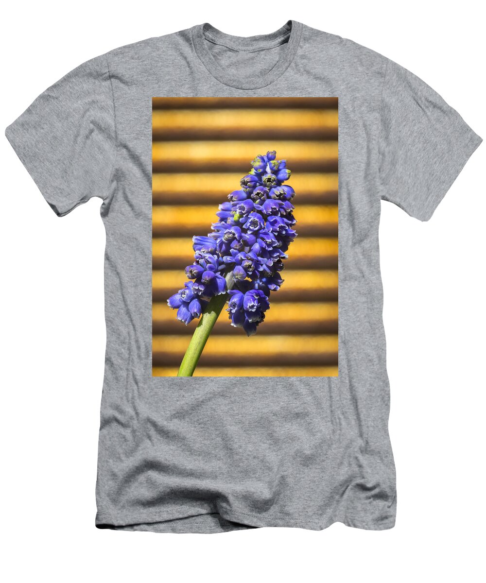 Muscari T-Shirt featuring the photograph Muscari and Rust by Caitlyn Grasso