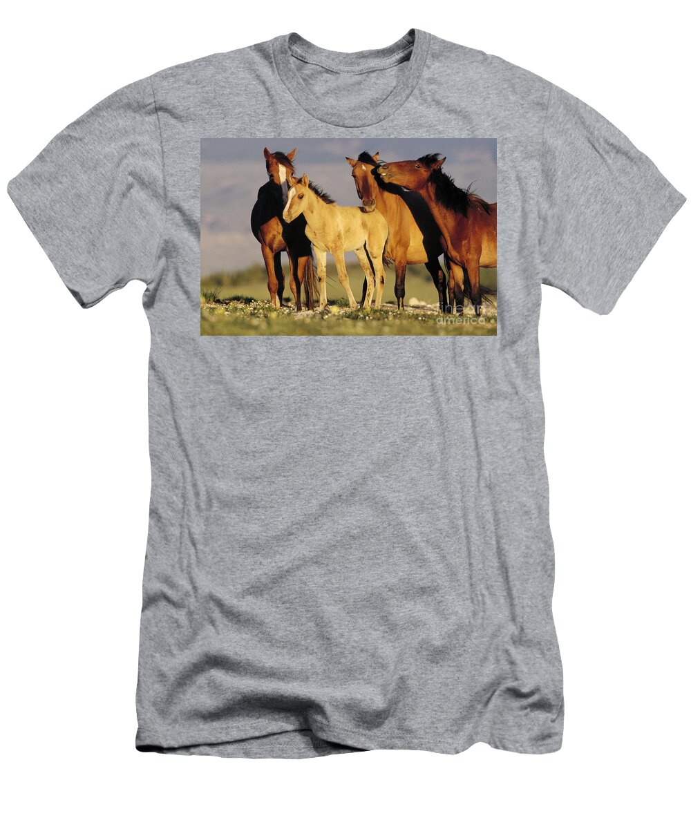 00340031 T-Shirt featuring the photograph Mustang Family Band Montana by Yva Momatiuk John Eastcott