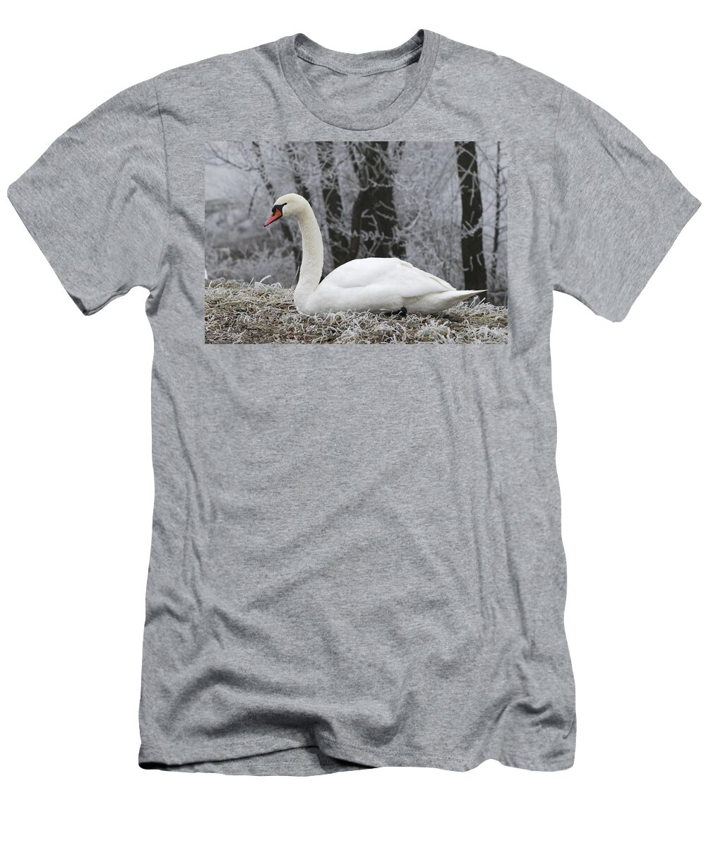 Feb0514 T-Shirt featuring the photograph Mute Swan Switzerland by Thomas Marent