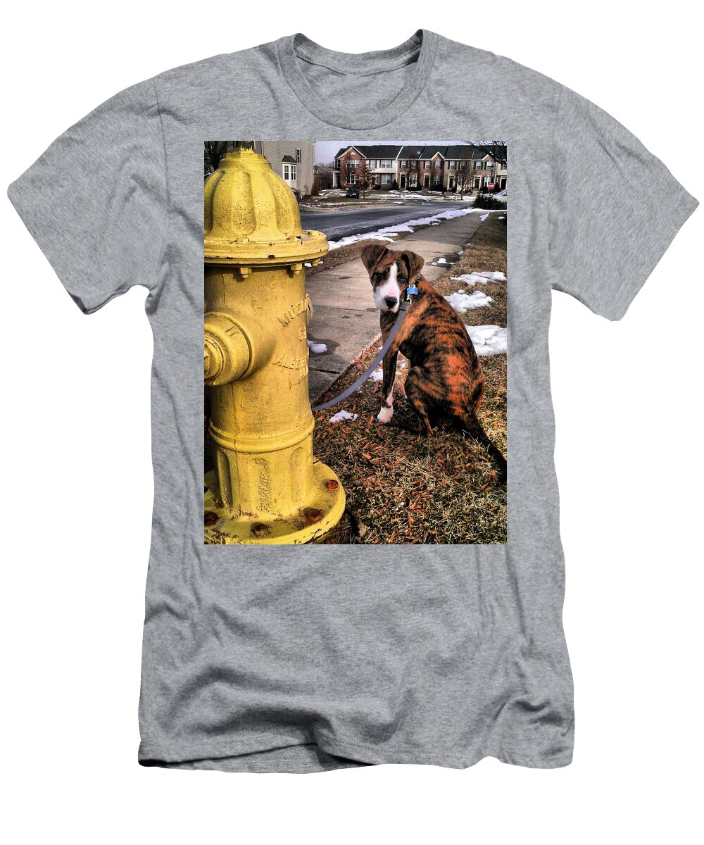 Dogs T-Shirt featuring the photograph My Friend Plug by Robert McCubbin
