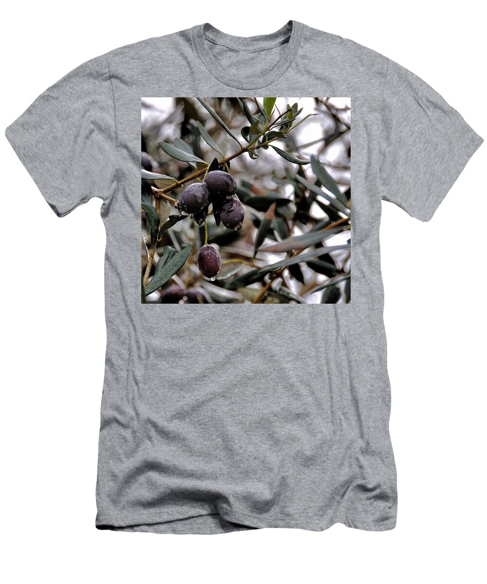 Israel T-Shirt featuring the photograph Nazareth Olives Israel by Mark Fuller