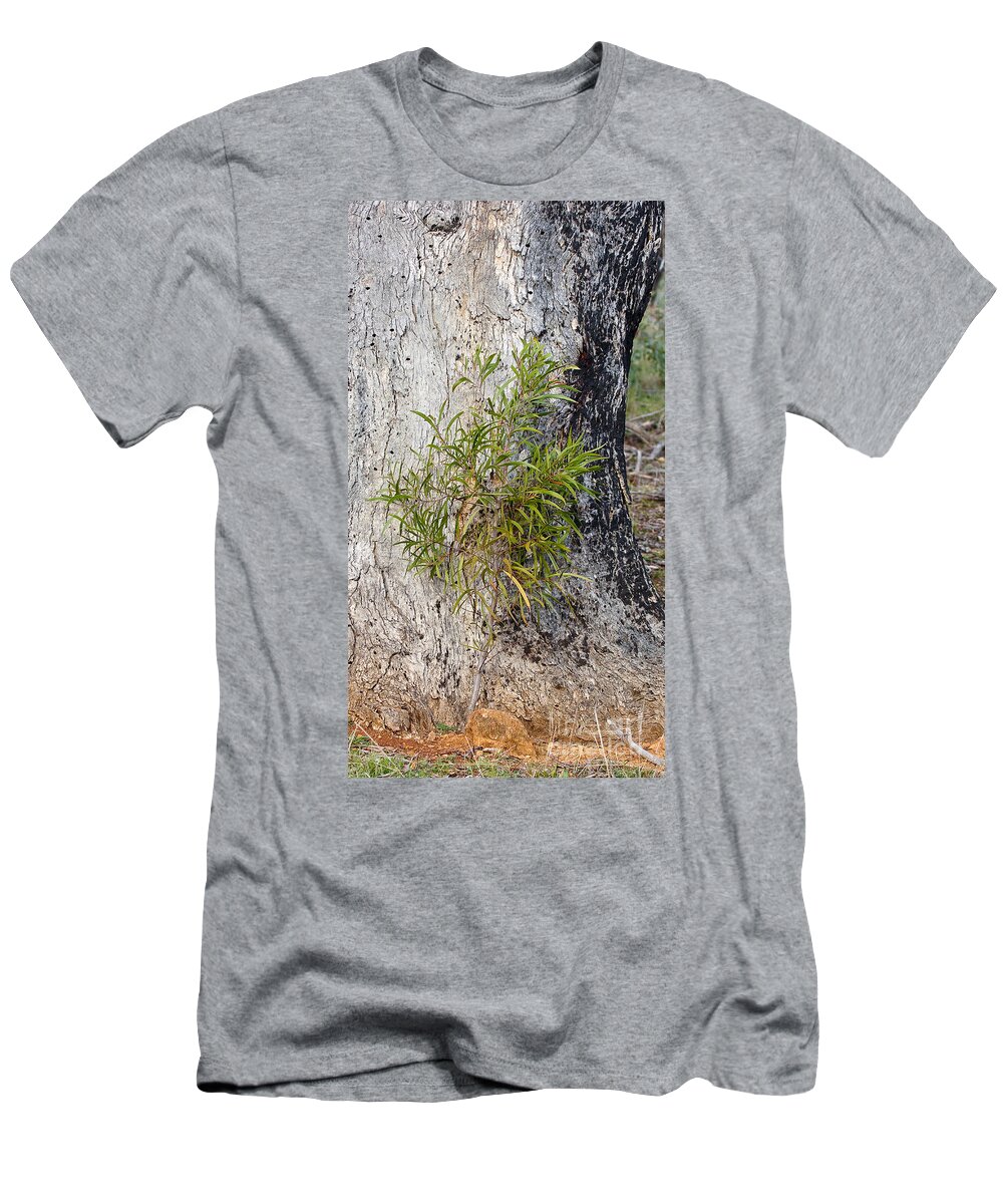 Australia T-Shirt featuring the photograph New Growth by Steven Ralser