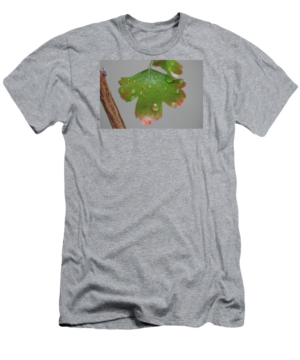 Leaf T-Shirt featuring the photograph Rain drops on Leaf by Valerie Collins