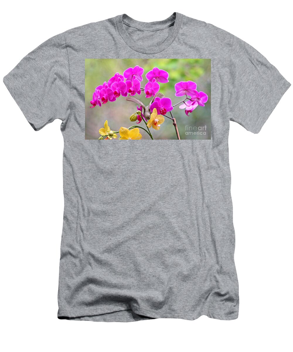 Orange Crown Warbler T-Shirt featuring the photograph Warbler on Orchards Photo by Luana K Perez