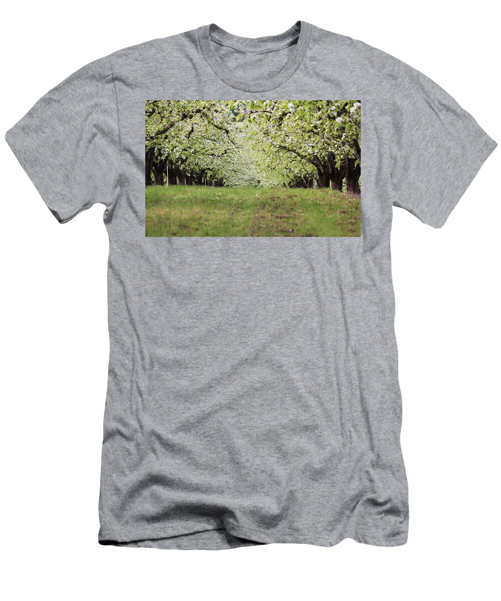 Apple T-Shirt featuring the photograph Orchard by Patricia Babbitt
