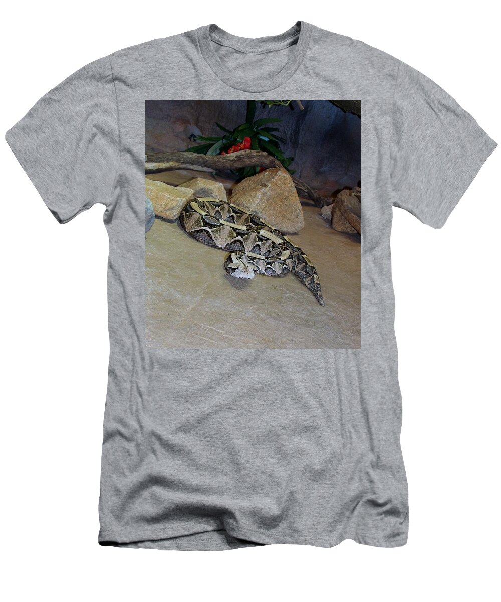 Out Of Africa T-Shirt featuring the photograph Out of Africa Viper 2 by Phyllis Spoor