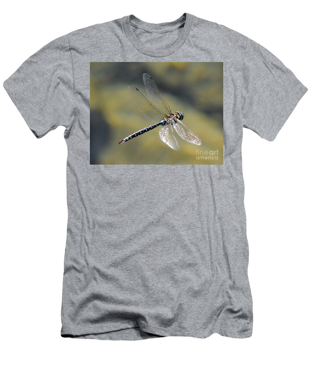 Wildlife T-Shirt featuring the photograph Paddletail Darner in Flight by Vivian Christopher