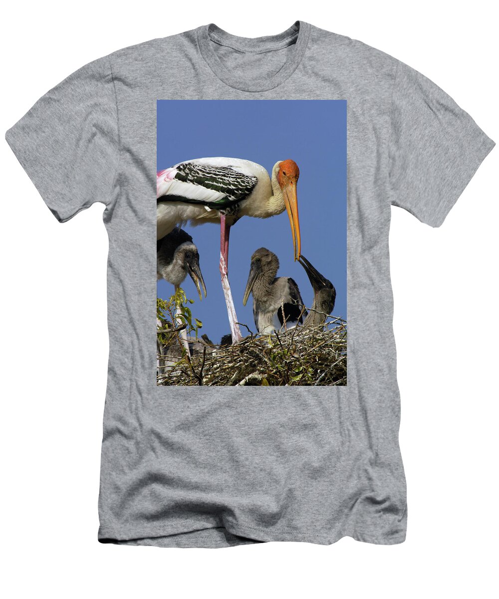 00210336 T-Shirt featuring the photograph Painted Stork on Nest with Chicks by Pete Oxford