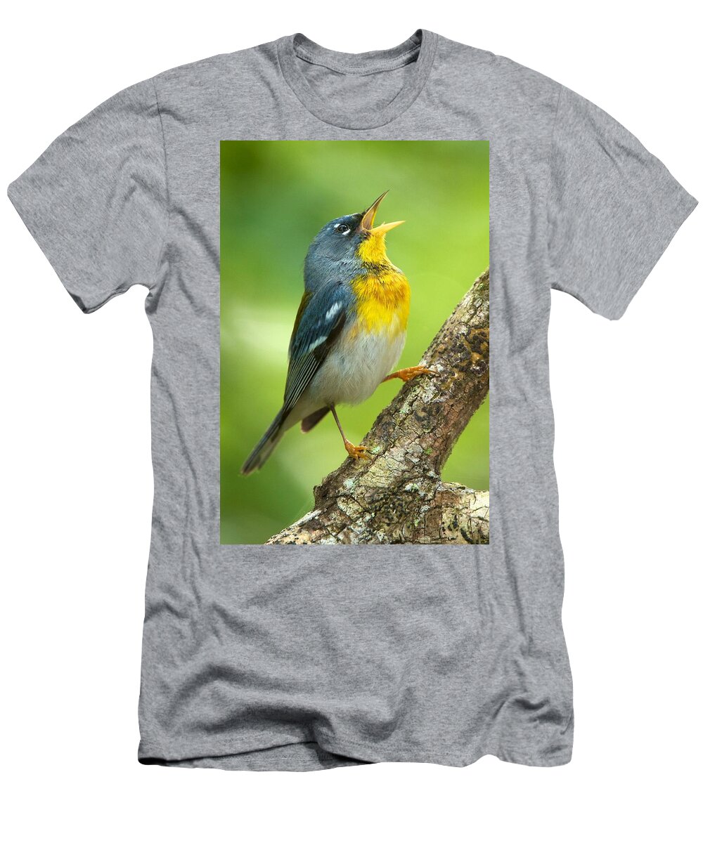 Northern Parula T-Shirt featuring the photograph Parula Song by David Beebe