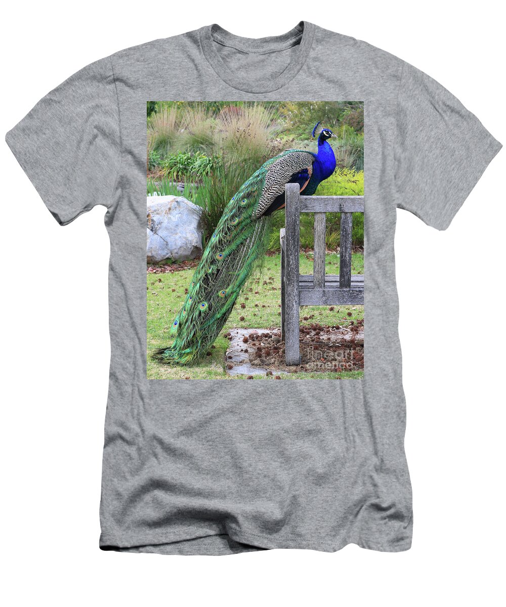 Blue T-Shirt featuring the photograph Peacock by Nicholas Burningham