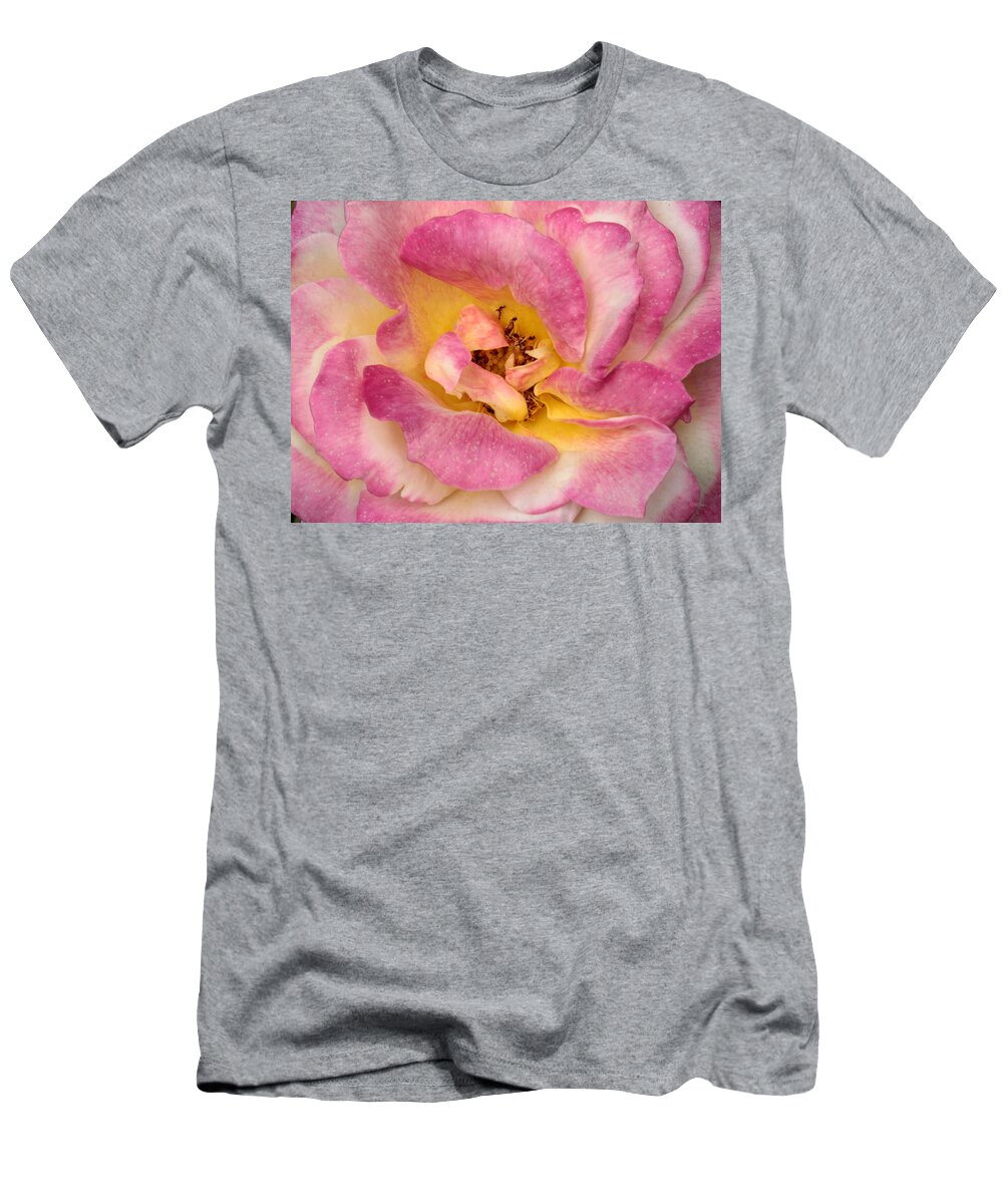 Rose T-Shirt featuring the photograph Petalsoft Perfection by Deborah Crew-Johnson