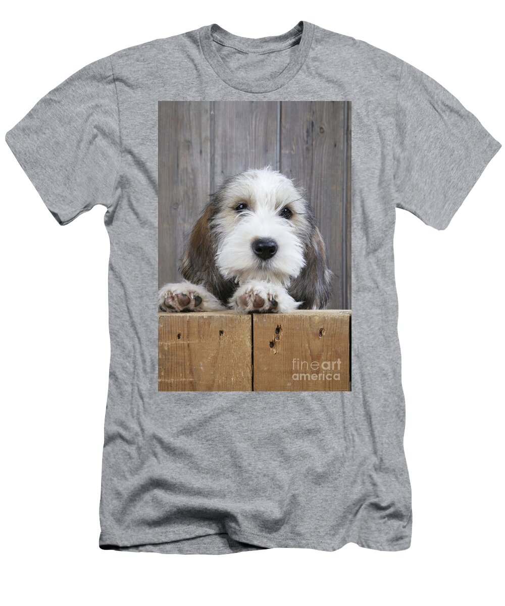 Dog T-Shirt featuring the photograph Petit Basset Griffon Vendeen by John Daniels