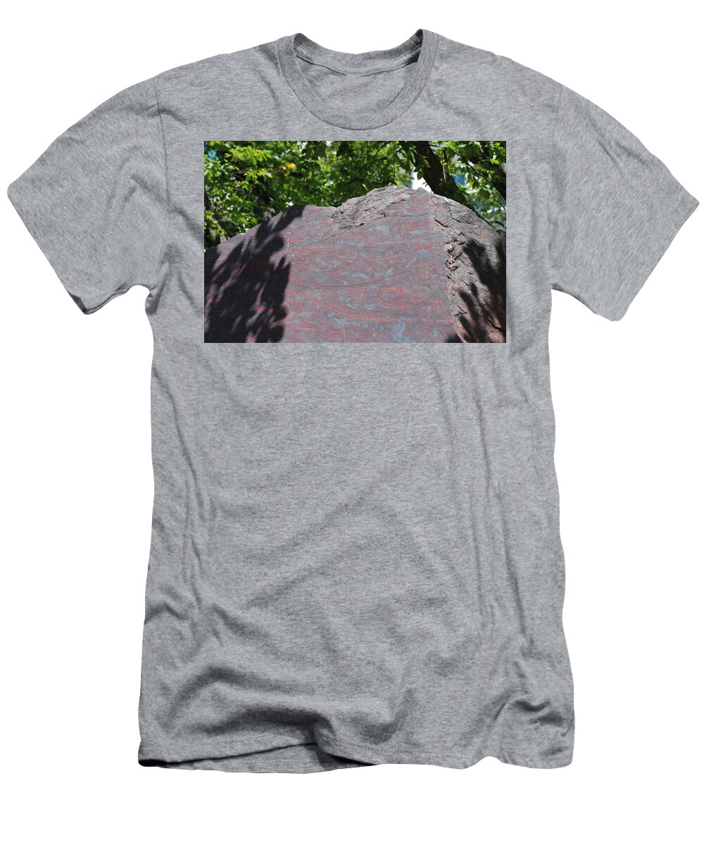 Petrified Wood T-Shirt featuring the photograph Petrified Wood on Display by Kenny Glover