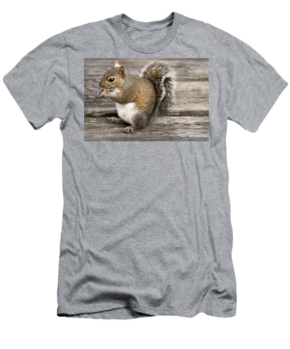 Alertness T-Shirt featuring the photograph Picnics are Fun by Penny Lisowski