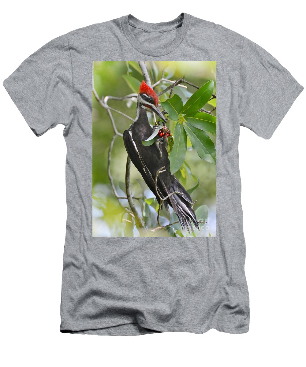 Woodpecker T-Shirt featuring the photograph Pileated Woodpecker by Kathy Baccari