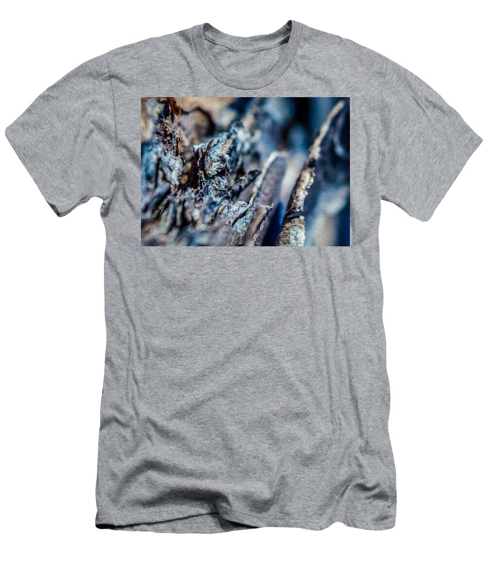 Abstract T-Shirt featuring the photograph Pine Bark Abstract by Traveler's Pics