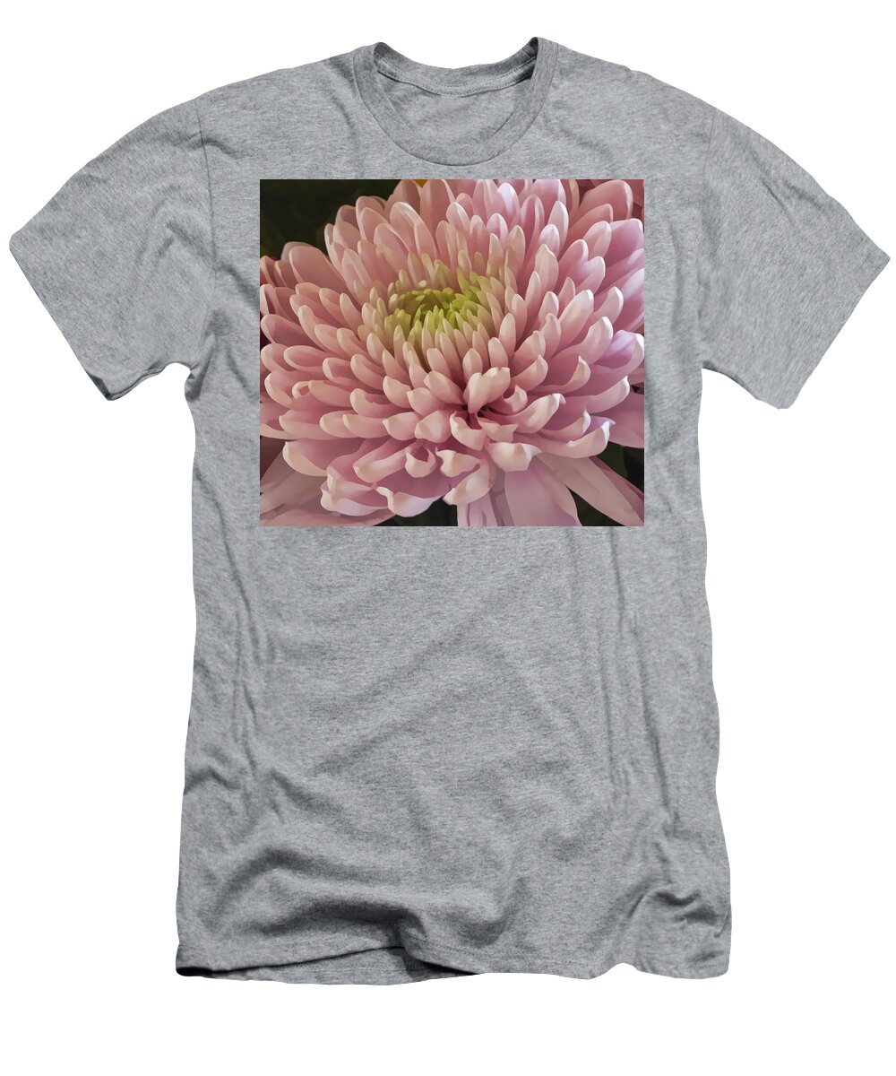 Chrysanthemum T-Shirt featuring the photograph Pink Chrysanthemum by Lynn Bolt