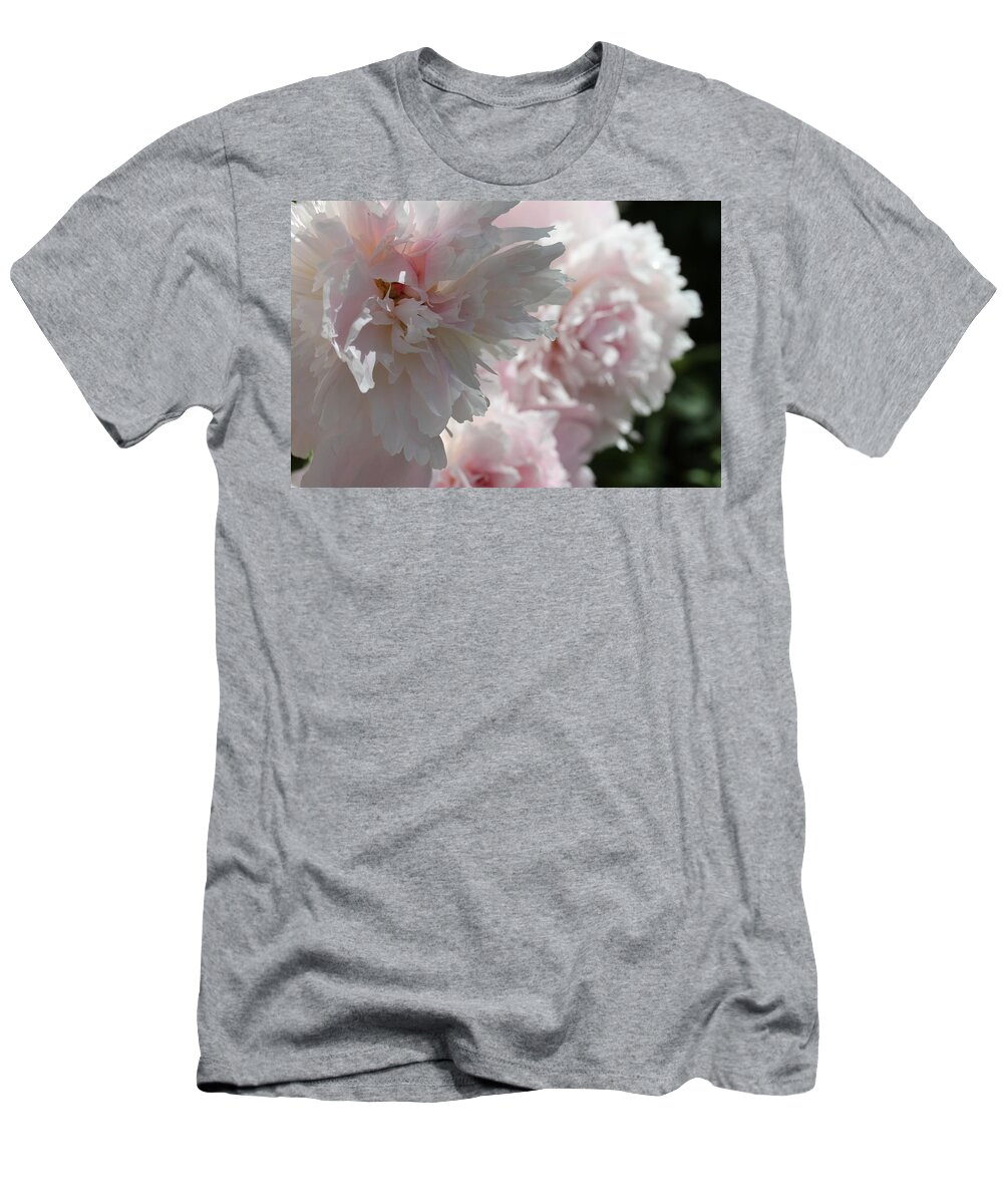 Peony T-Shirt featuring the photograph Pink Confection by Ruth Kamenev