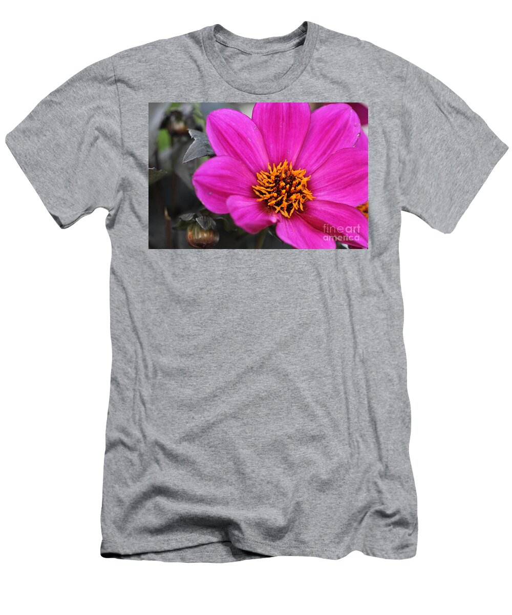 Beautiful T-Shirt featuring the photograph Pink Flower 2 by Amanda Mohler