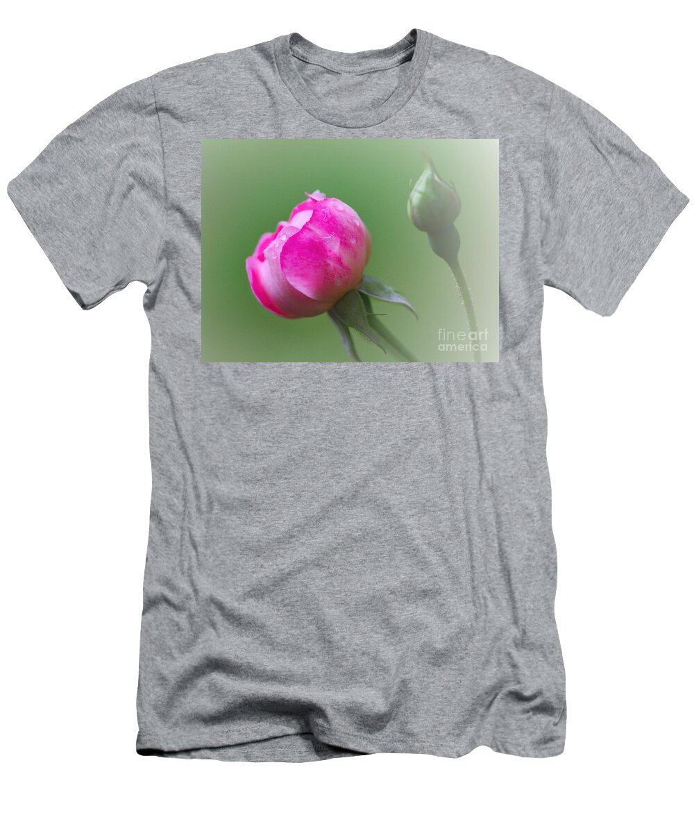 Pink Rose T-Shirt featuring the photograph Pink Rose and Raindrops by Jeremy Hayden