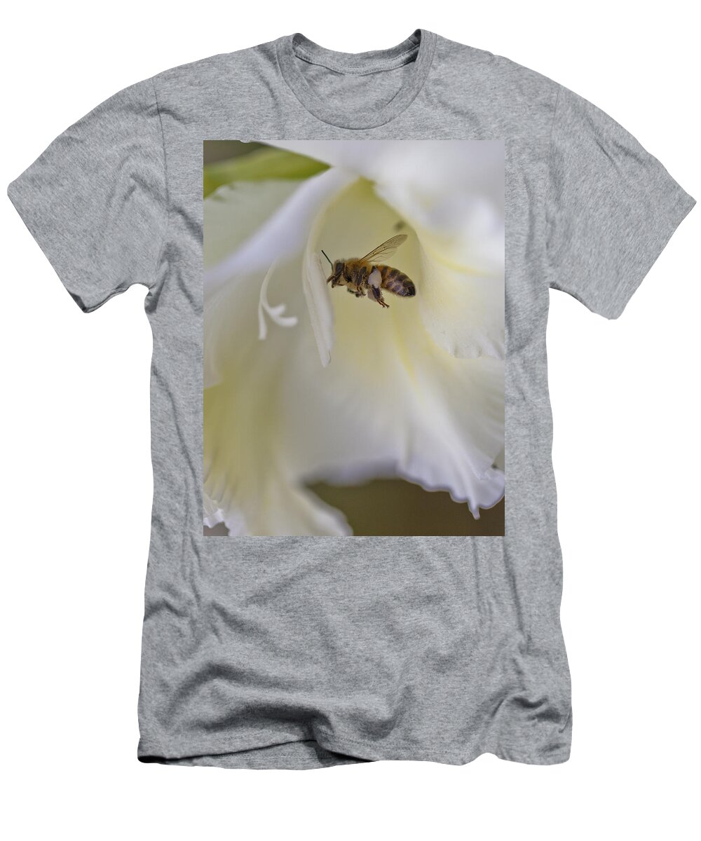 Pollen T-Shirt featuring the photograph Pollen Carrier Bee by Maj Seda