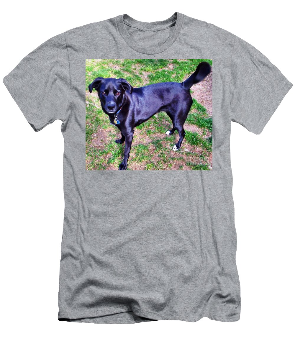 Dog T-Shirt featuring the photograph Posing Take The Picture Please by Judy Palkimas