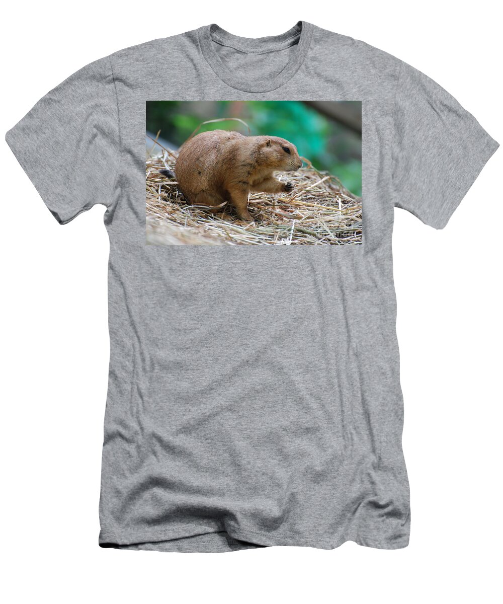 Prairie Dog T-Shirt featuring the photograph Prairie Dog With Hay by DejaVu Designs
