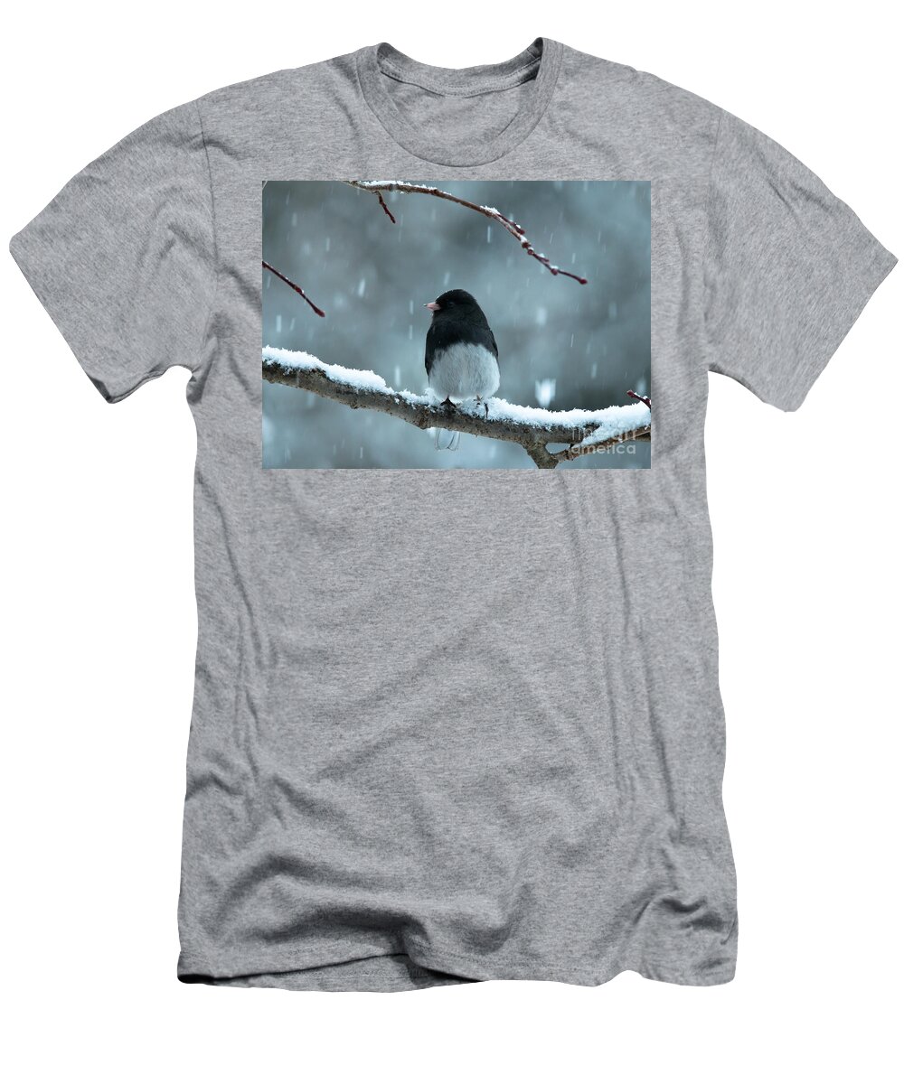 Landscapes T-Shirt featuring the photograph Pretty Junco by Cheryl Baxter