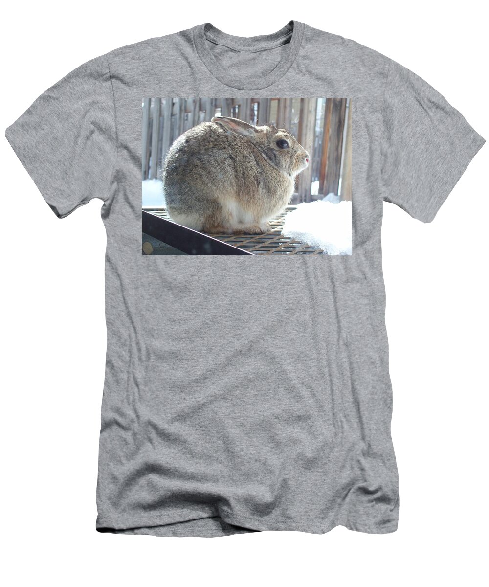 Animal T-Shirt featuring the photograph Rabbit waiting for the snow to melt by Daniel Larsen