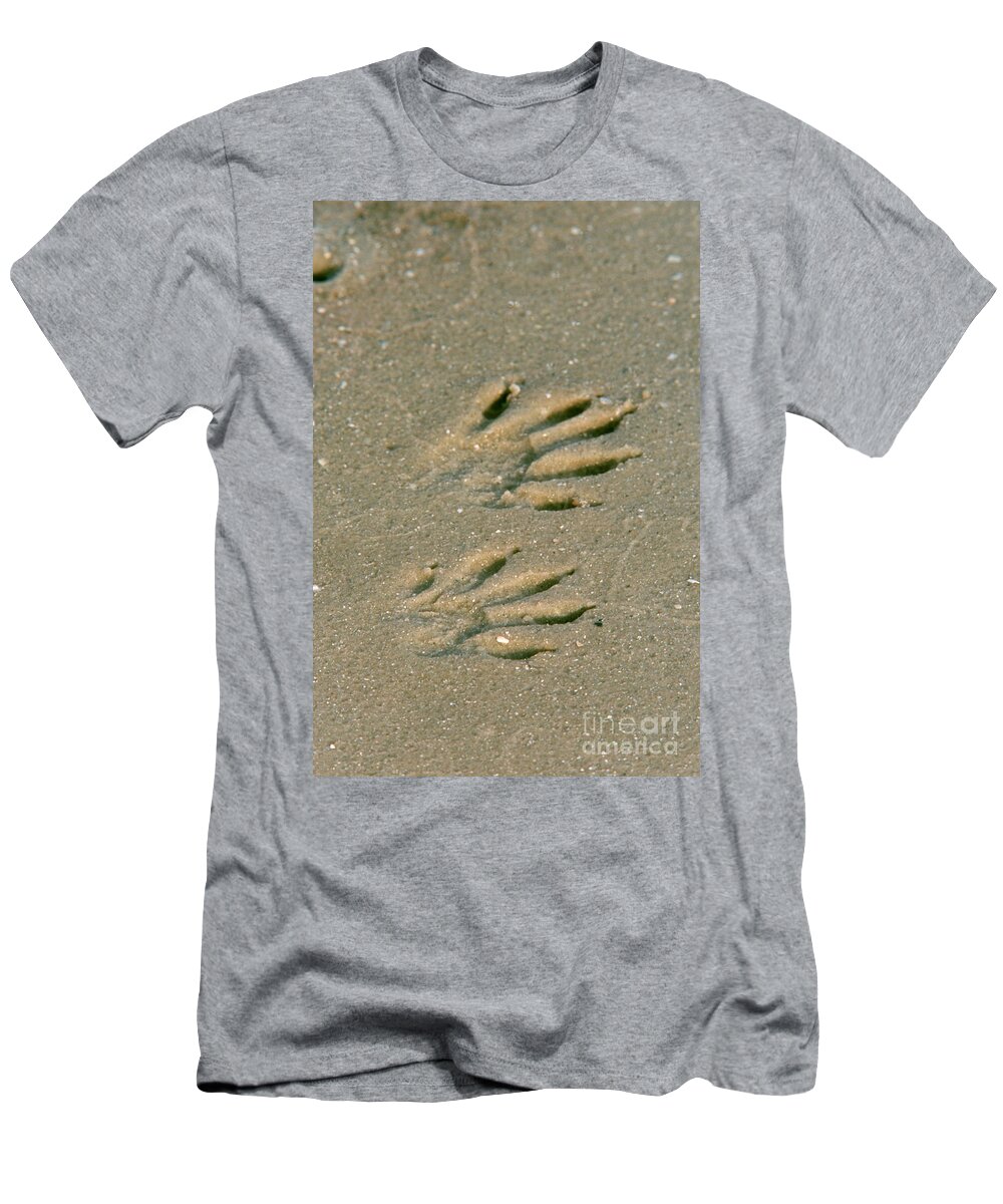 Animal T-Shirt featuring the photograph Raccoon Tracks In Sand by Steve Maslowski