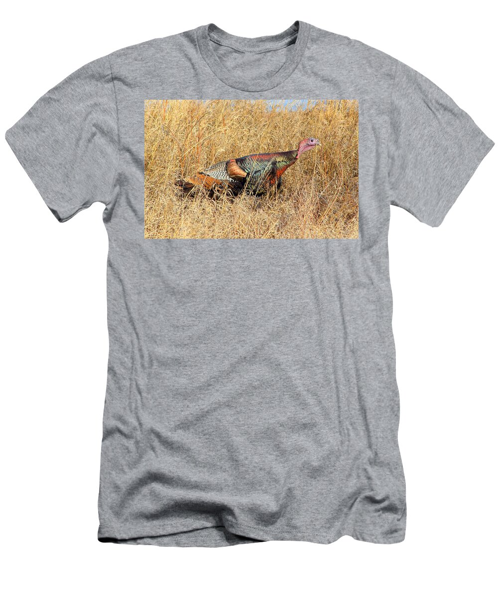 Turkey T-Shirt featuring the photograph Rainbow Turkey by Shane Bechler