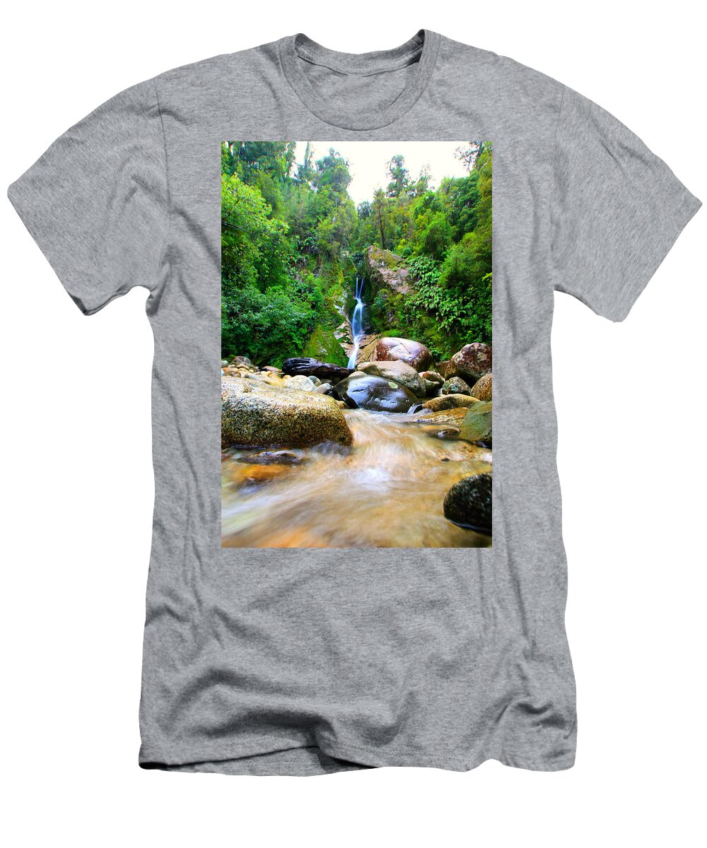 Waterfall T-Shirt featuring the photograph Rainforest Stream New Zealand by Amanda Stadther
