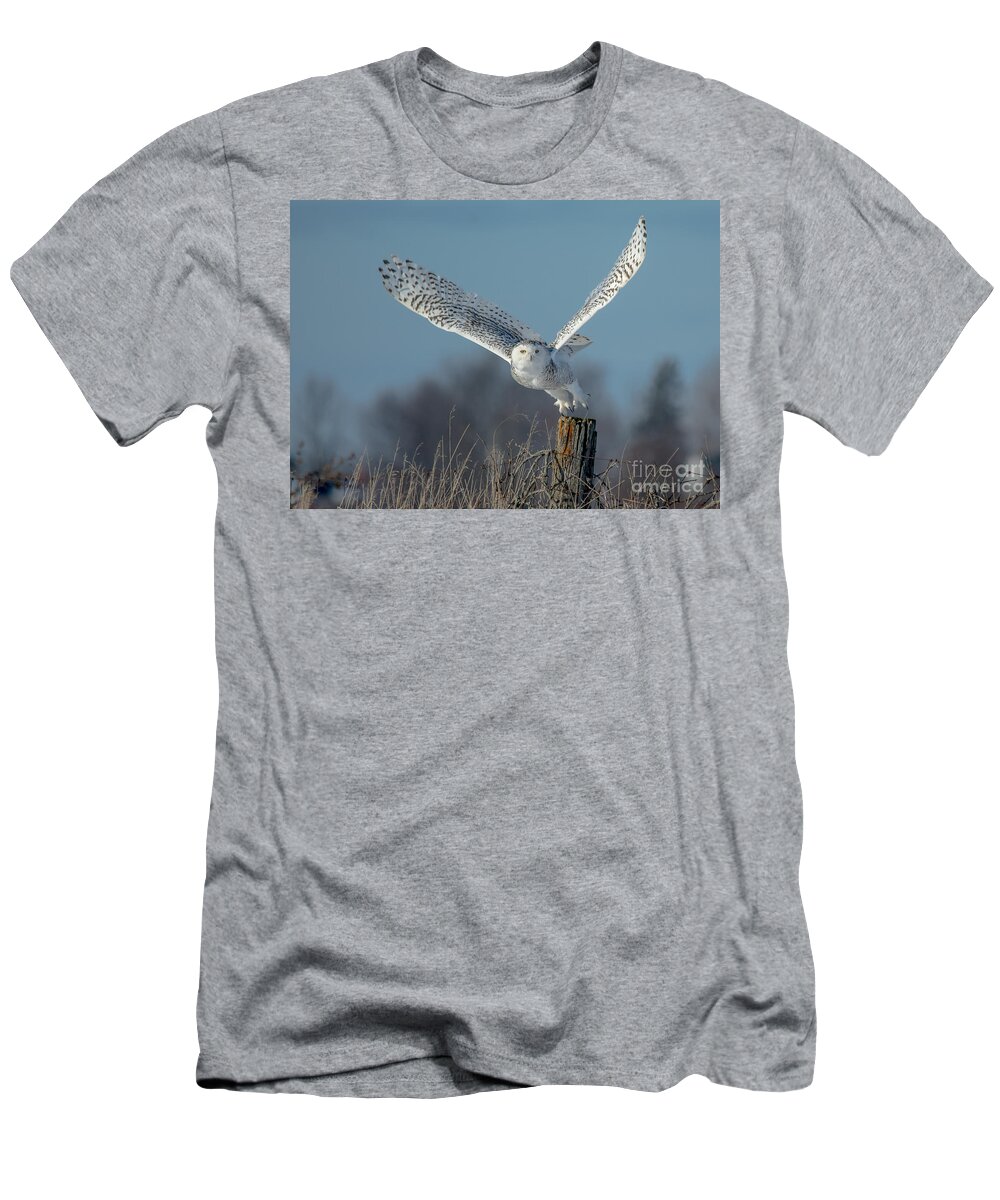 Field T-Shirt featuring the photograph Raised Wings by Cheryl Baxter