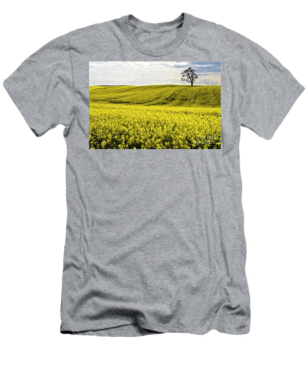 Heiko T-Shirt featuring the photograph Rape landscape with lonely tree by Heiko Koehrer-Wagner