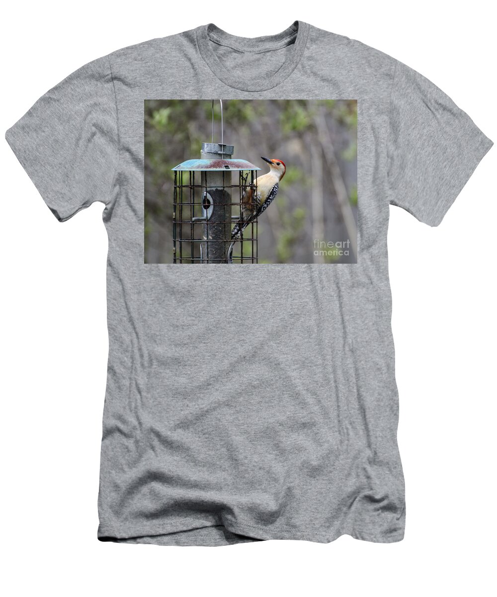 Red Bellied Woodpecker T-Shirt featuring the photograph Red Bellied Woodpecker by Judy Wolinsky