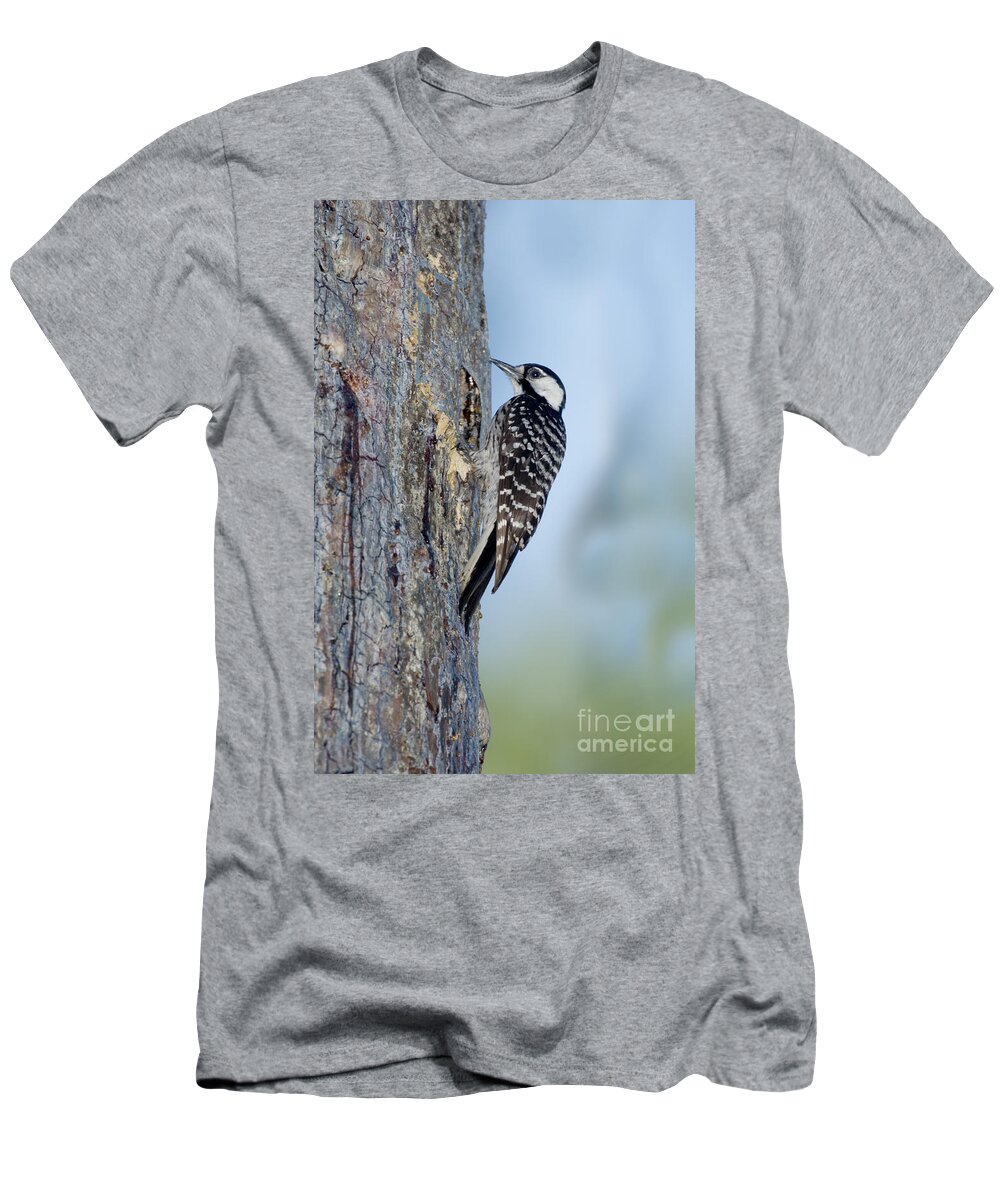 Red-cockaded Woodpecker T-Shirt featuring the photograph Red-cockaded Woodpecker by Anthony Mercieca