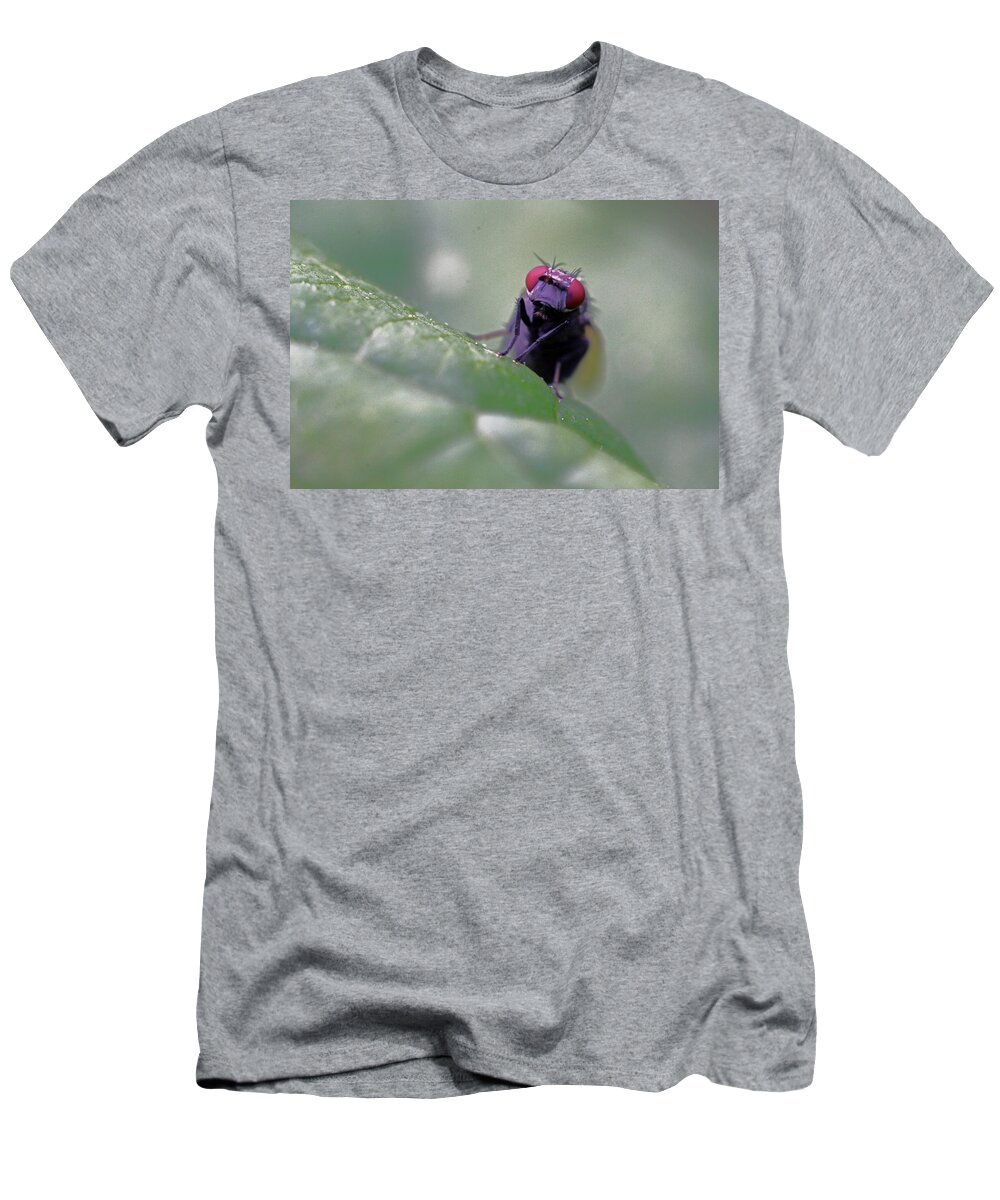 Insects T-Shirt featuring the photograph Red Eye by Jennifer Robin
