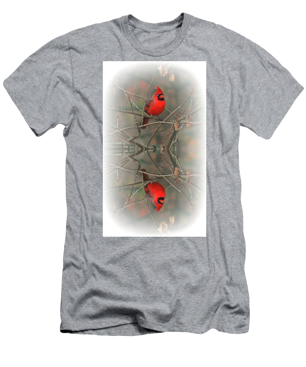Reflection T-Shirt featuring the photograph Red Reflection by Barbara S Nickerson