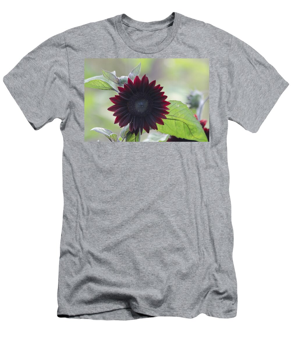 Dakota T-Shirt featuring the photograph Red Sunflower by Greni Graph