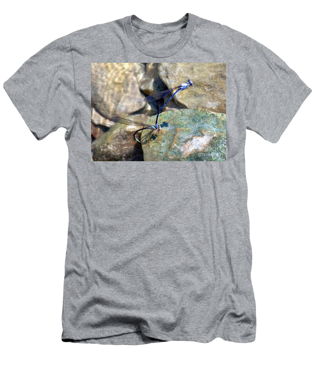 Blue Dragonflies T-Shirt featuring the photograph Refueling Dragonflies by Peggy Franz