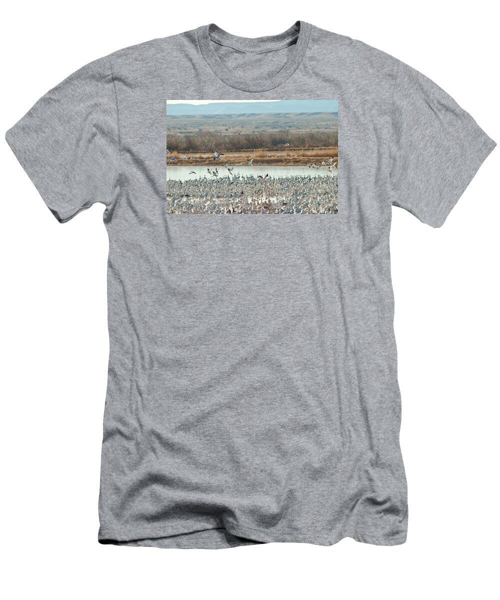  T-Shirt featuring the photograph Refuge View 1 by James Gay