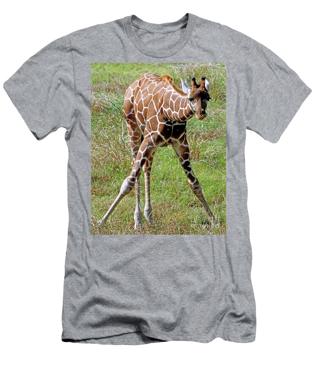 Fauna T-Shirt featuring the photograph Reticulated Giraffe by Millard H. Sharp