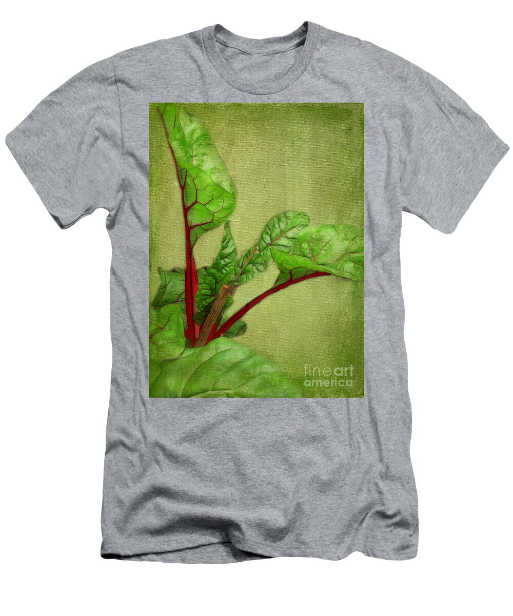 Rhubarb T-Shirt featuring the photograph Rhubarb by Judi Bagwell